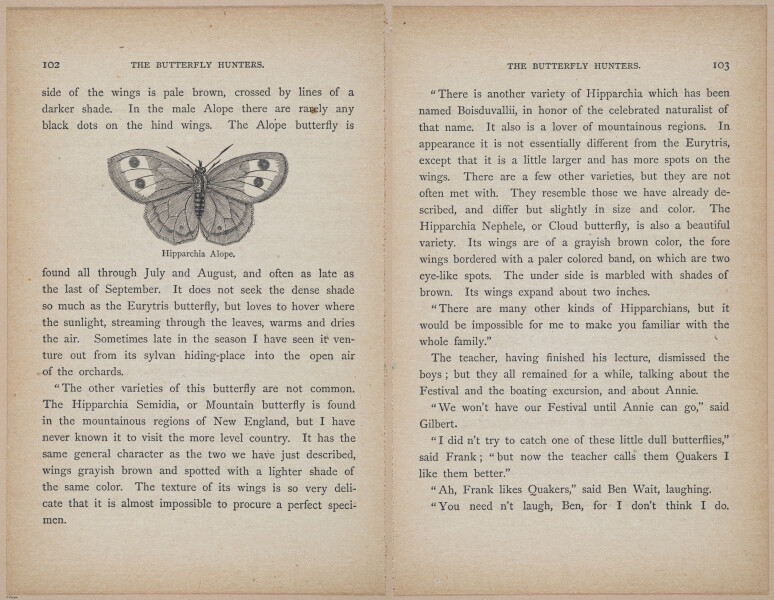 E402 - The Butterfly Hunters - i18851-18852