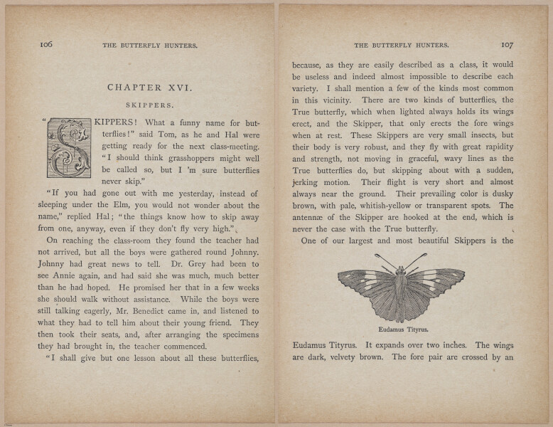 E402 - The Butterfly Hunters - i18855-18857