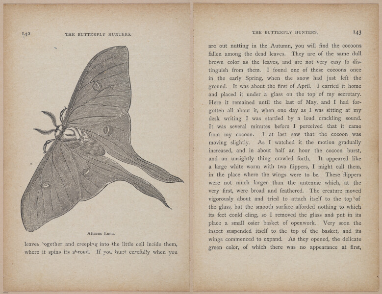 E402 - The Butterfly Hunters - i18893-18894