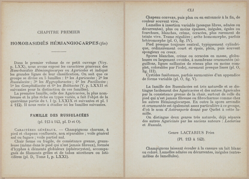 E409 - Les Champignons - i19316-19317