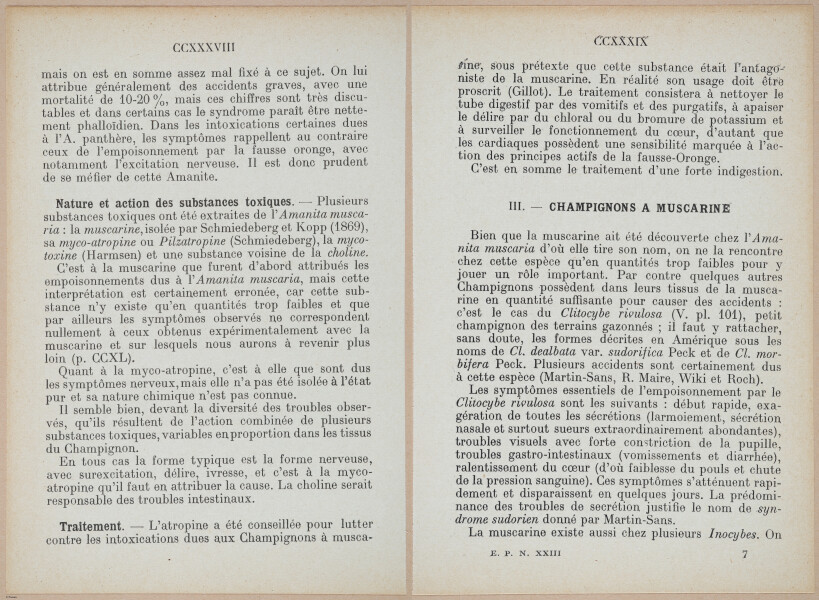 E409 - Les Champignons - i19406-19407