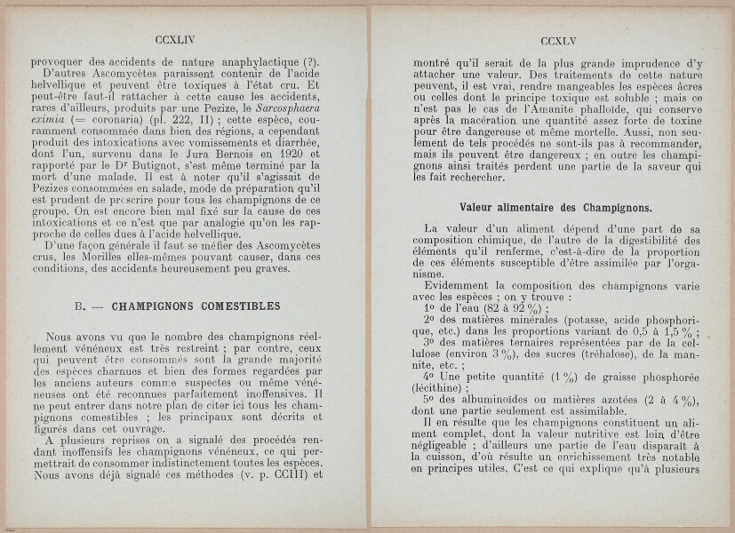 E409 - Les Champignons - i19412-19413