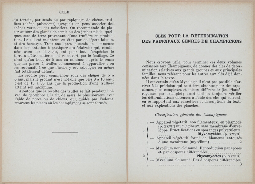 E409 - Les Champignons - i19420-19421