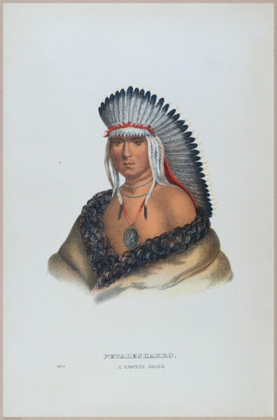 E495 - Native Americans - 22801