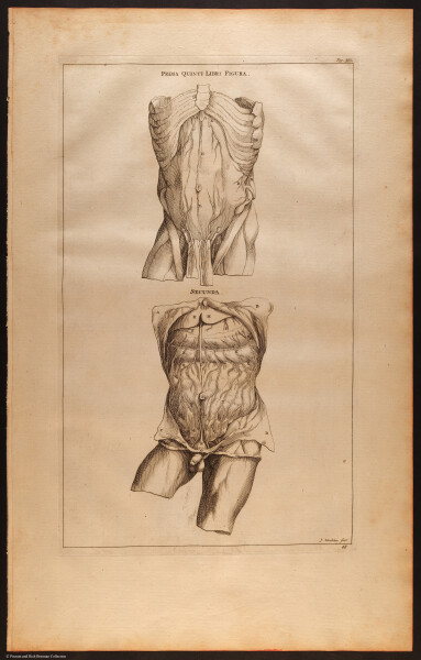 E510 - Anatomy Atlas - Vesalius - i0612