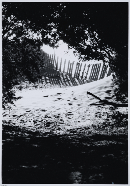 Fort Funston, San Francisco, CA