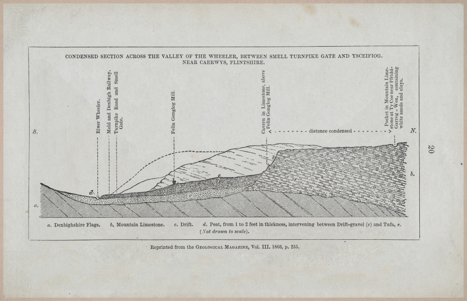 E554 - Museum of Practical Geology - 27358