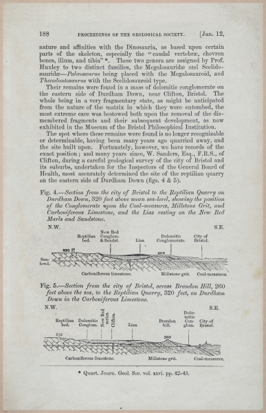 E554 - Museum of Practical Geology - 27379