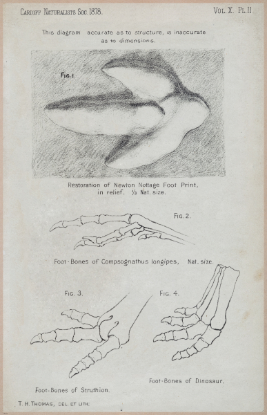 E554 - Museum of Practical Geology - 27381